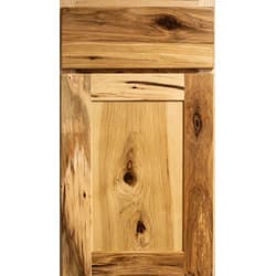 Door preview